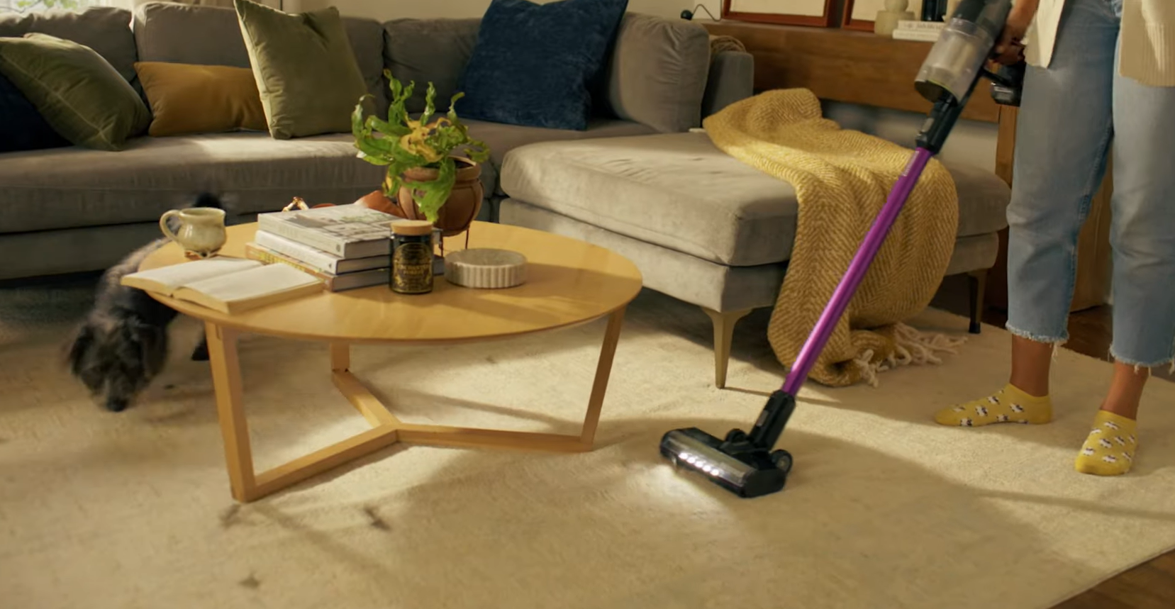 A person is vacuuming pet hair from a carpet